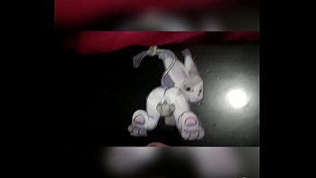 Play Tailmon cum tribute